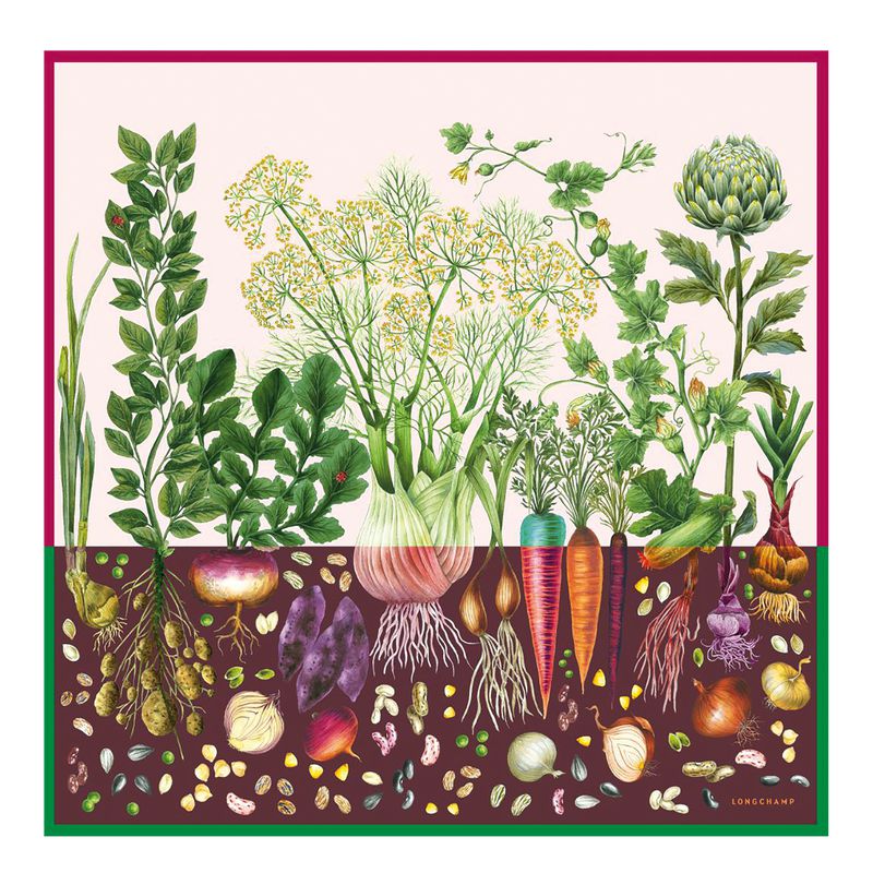 Multicolor Longchamp Beyond The Garden 90 Women Scarf | India-024VPWHEL